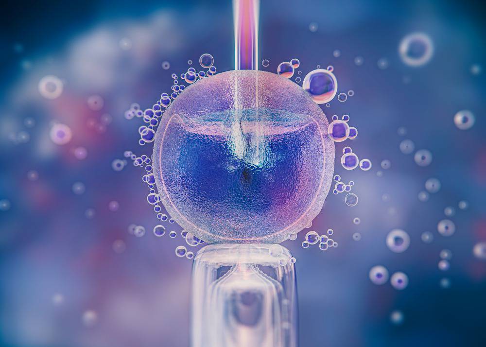 congelacion-de-ovulos-opcion-preservar-fertilidad imagen de artículo