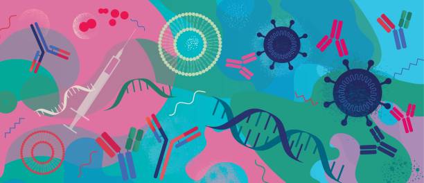inmunoterapia-el-desarrollo-de-un-tratamiento-revolucionario-contra-el-cancer imagen de artículo