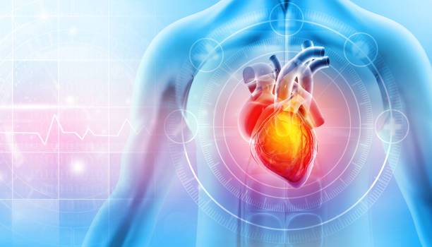electrocardiograma-registro-y-analisis imagen de artículo