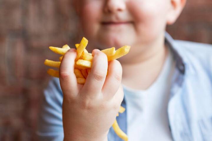 obesidad-en-ninos-provoca-diabetes-presion-arterial-elevada-y-niveles-de-colesterol-altos imagen de artículo