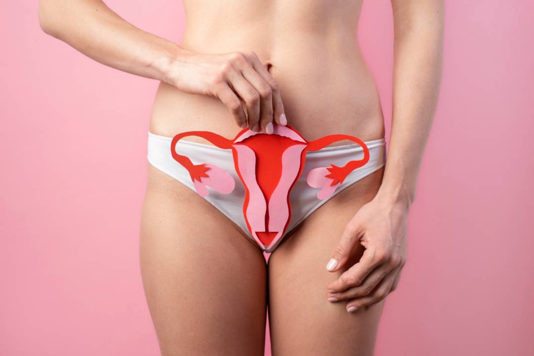 Infecciones Vaginales: Una Guía Completa