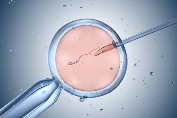 inseminacion-artificial-mejorando-las-posibilidades-de-embarazo imagen de artículo