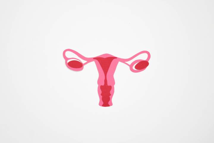miomas-por-que-aparecen-causas-y-factores-de-riesgo imagen de artículo