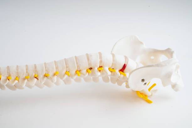 cirugia-de-columna-minimamente-invasiva-avances-y-beneficios-en-el-tratamiento-de-la-columna-vertebral imagen de artículo