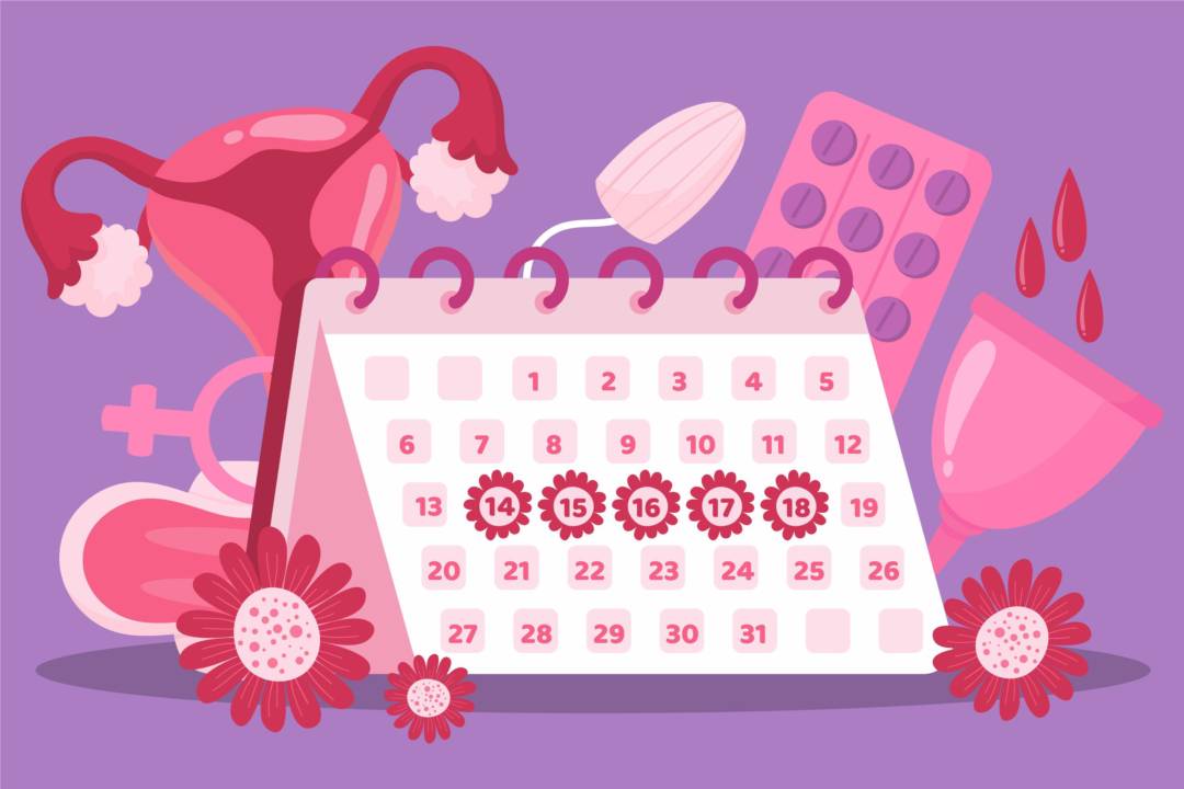 ciclo-menstrual-como-afecta-organismo-salud-femenina imagen de artículo