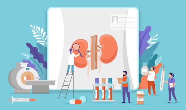 impacto-de-la-obesidad-en-la-salud-renal-un-analisis-detallado-de-sus-complicaciones imagen de artículo