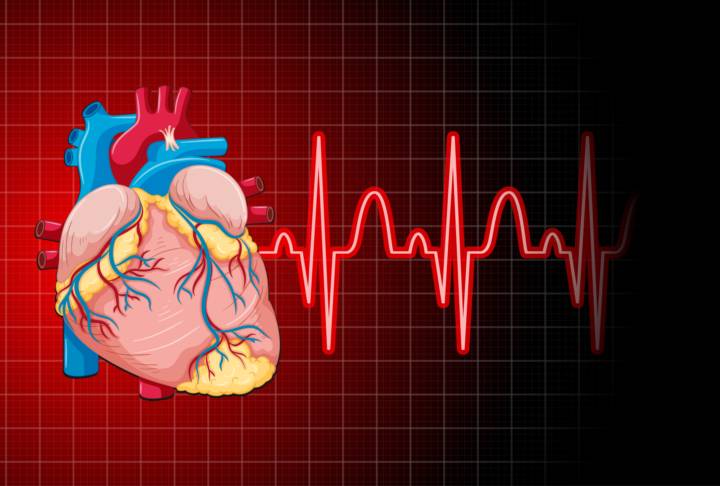 arritmias-descifrando-ritmos-irregulares-corazon imagen de artículo