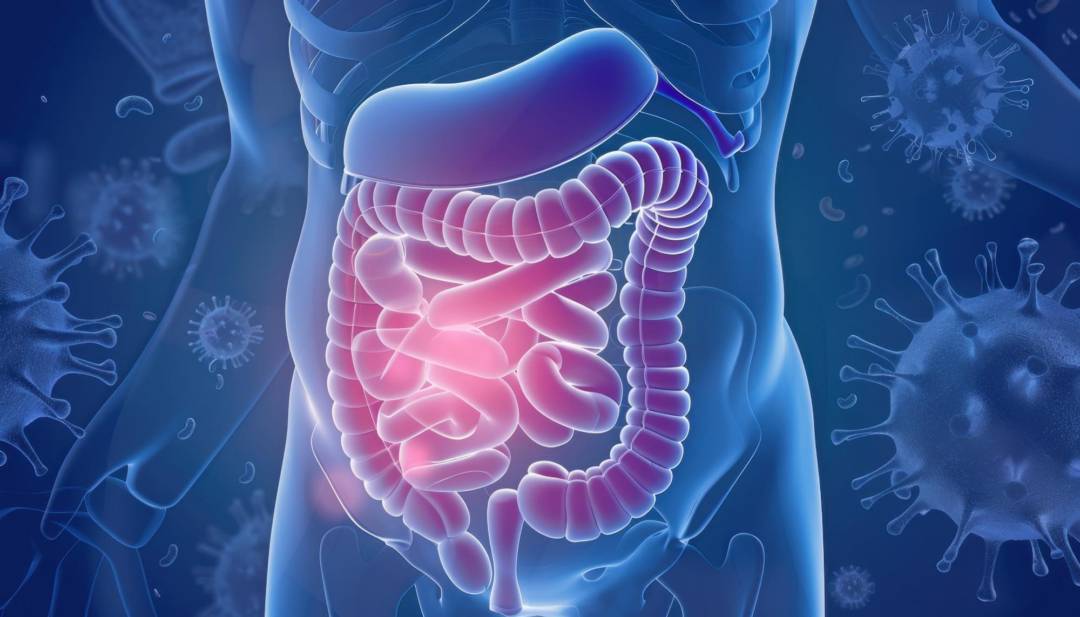 microbiota-intestinal-como-influye-salud-general imagen de artículo