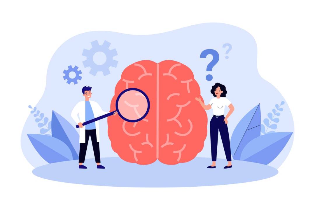 neuropsicologia-evaluacion-y-rehabilitacion-de-las-funciones-cognitivas-y-conductuales imagen de artículo