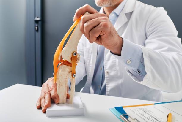 desgaste-articular-de-cadera-y-rodilla-como-se-genera imagen de artículo