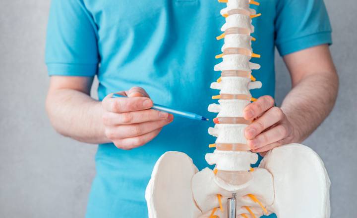 quiropractica-disciplina-para-mejorar-salud-integral imagen de artículo