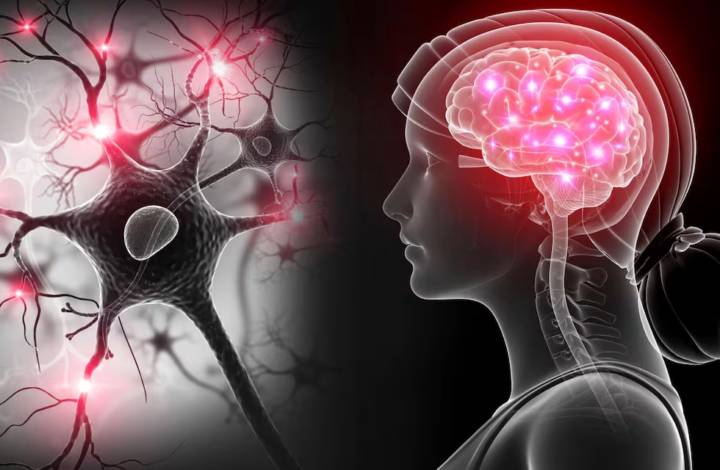 disautonomia-sintomas-factores-agravantes-medidas-manejarla imagen de artículo