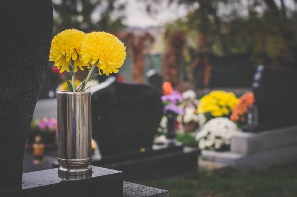 tanatologia-la-ciencia-de-la-vida-y-la-muerte imagen de artículo
