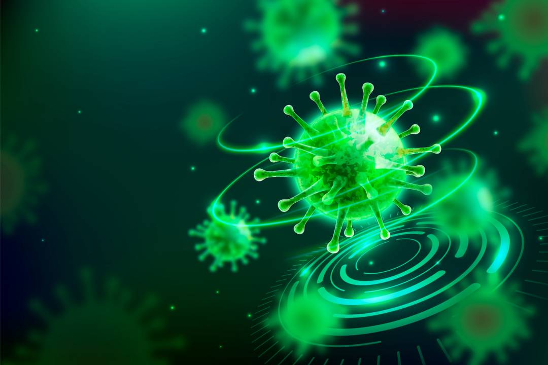 metapneumovirus-humano-hmpv-que-es-como-prevenir-cual-es-riesgo-real imagen de artículo