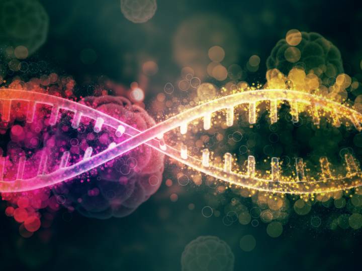 genetica-cancer-como-influyen-genes-riesgo-desarrollarlo imagen de artículo