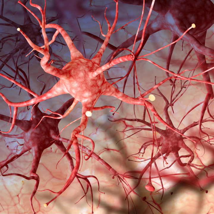 neurofibromatosis-que-es-tipos-consecuencias-salud imagen de artículo