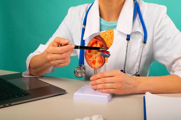 trasplante-renal-candidatos-ideales-evaluaciones-medicas-y-cuidados-posoperatorios imagen de artículo