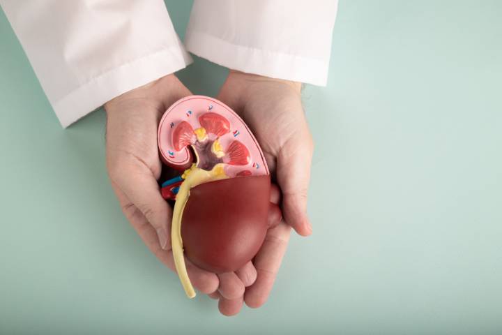 enfermedad-renal-cronica-cuando-es-necesario-trasplante imagen de artículo