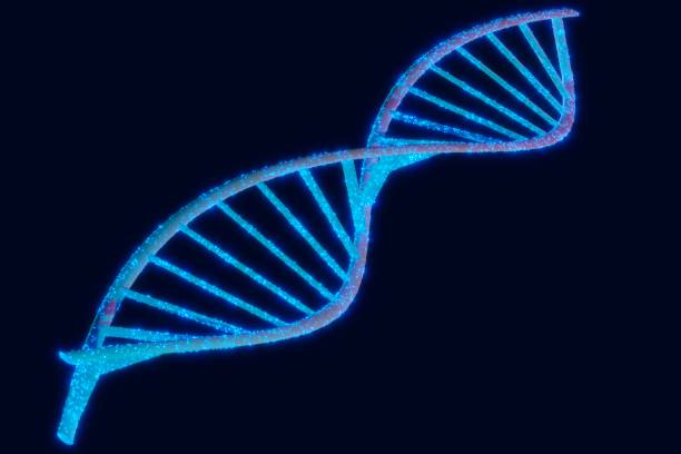 adn-fetal-en-sangre-materna-como-detectar-anomalias-geneticas imagen de artículo