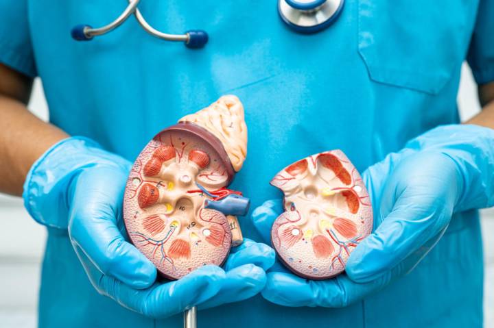 trasplante-renal-procedimiento-avances-cuidados-clave-evitar-rechazo imagen de artículo