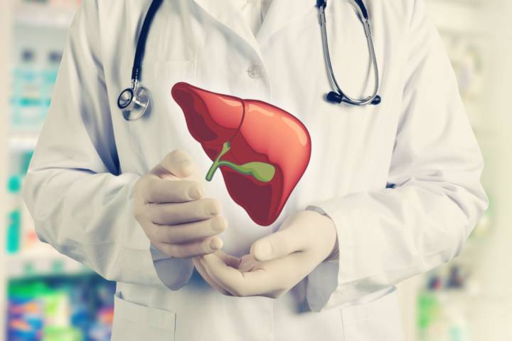 el-sistema-hepatobiliopancreatico-funciones-enfermedades-y-abordaje-medico imagen de artículo