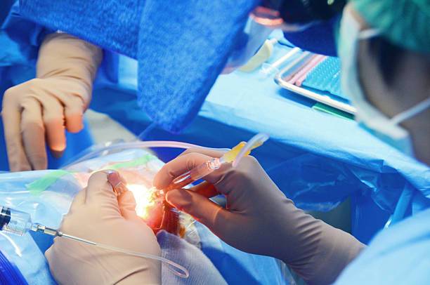 drenaje-de-abscesos-la-importancia-de-liberar-la-infeccion imagen de artículo