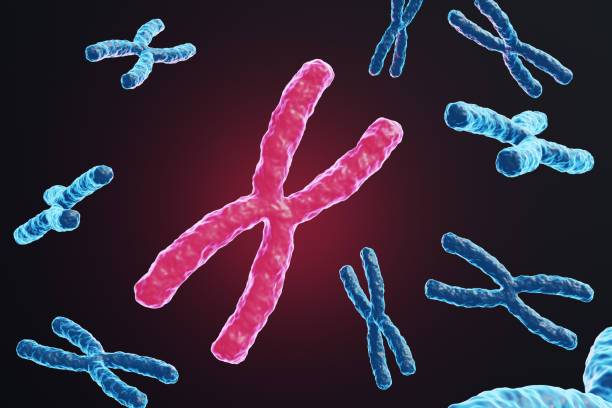 el-impacto-del-sindrome-de-turner-en-el-desarrollo-y-la-salud-a-largo-plazo imagen de artículo