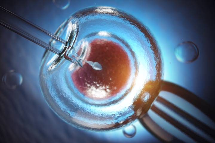 fertilizacion-in-vitro-cuando-es-recomendable-que-factores-afectan-exito imagen de artículo