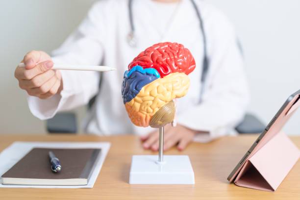 estimulacion-transcraneal-conoce-la-clave-para-el-parkinson imagen de artículo