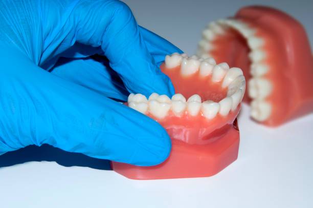 la-importancia-de-la-ortopedia-dental-y-ortodoncia-en-el-desarrollo-dental imagen de artículo