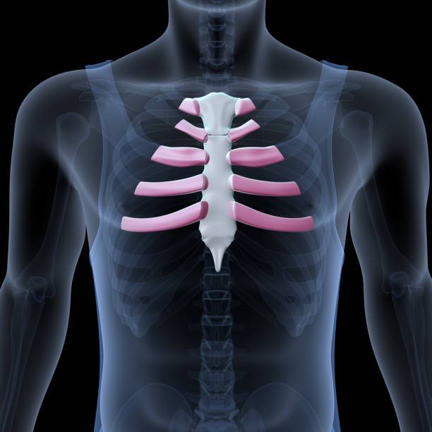 toracotomia-cuando-se-realiza-como-es-la-recuperacion-y-por-que-puede-salvar-vidas imagen de artículo