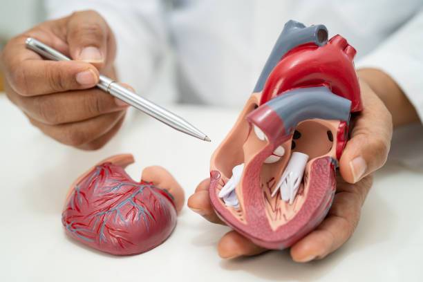 implantacion-valvular-aortica-transapical-vs-transfemoral imagen de artículo
