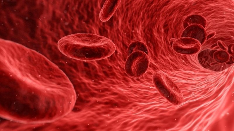 De acuerdo con el IMSS en México poco más de dos millones de niños, entre uno y cuatro años, padecen anemia.