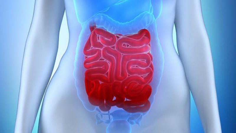 Biopsia del intestino delgado