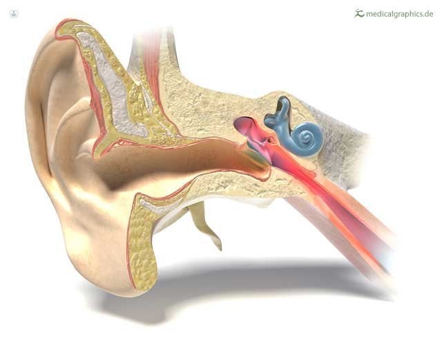 otitis