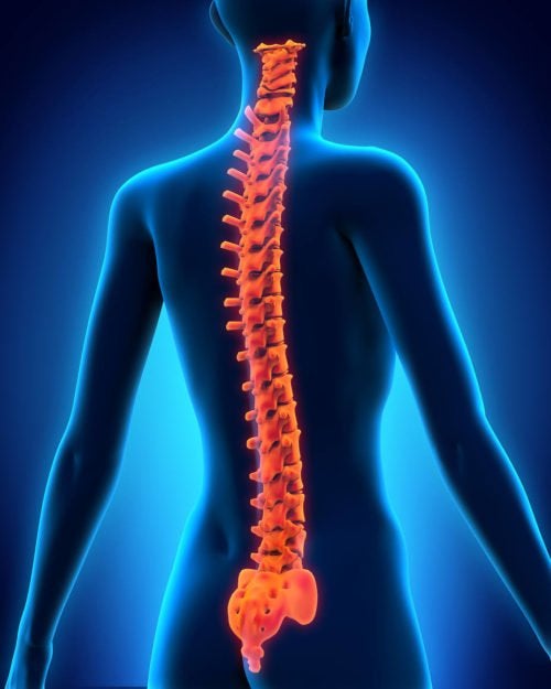 Lesiones de espalda: ¿Cuáles son las más comunes? - Neurocirugía de la Torre