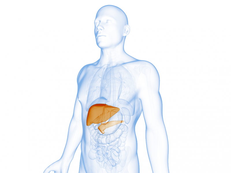 Cirugía Hepato Pancreato Biliar
