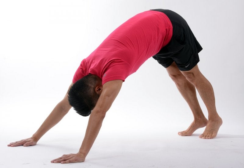 Tipos de estiramiento  Flexibilidad muscular, Aumentar