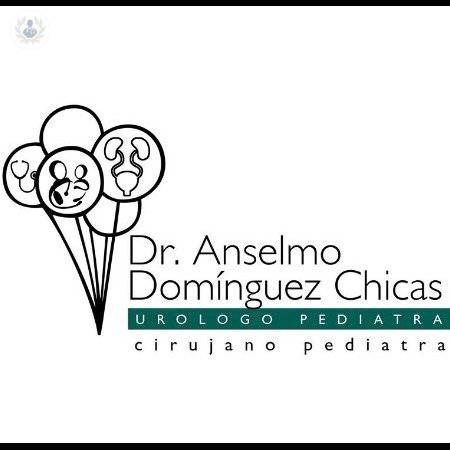 Anselmo Domínguez Chicas imagen perfil