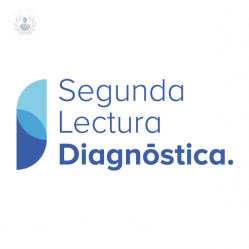 Segunda Lectura Diagnóstica undefined imagen perfil
