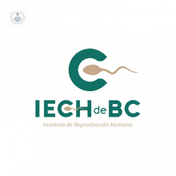 IECH de BC undefined imagen perfil
