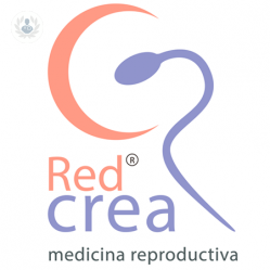 Clínica de Reproducción Asistida Red Crea Sur null imagen perfil