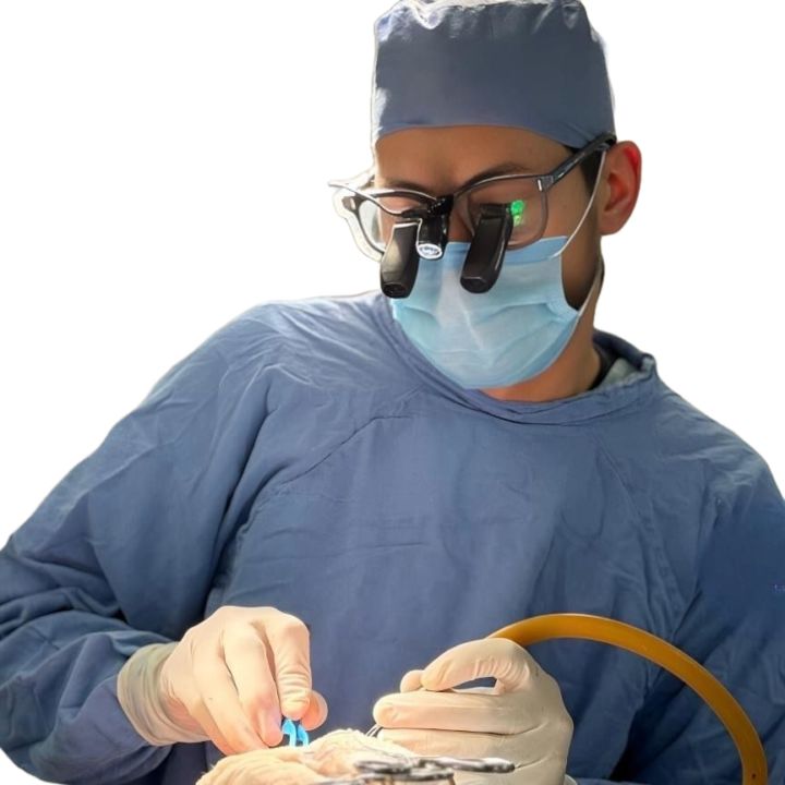 Dr. Edgar Augusto Gómez López 